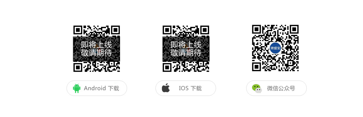 银盛支付服务股份有限公司APP下载二维码